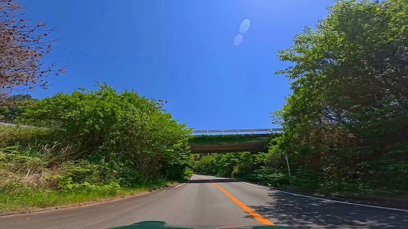 富士見パークウェイ